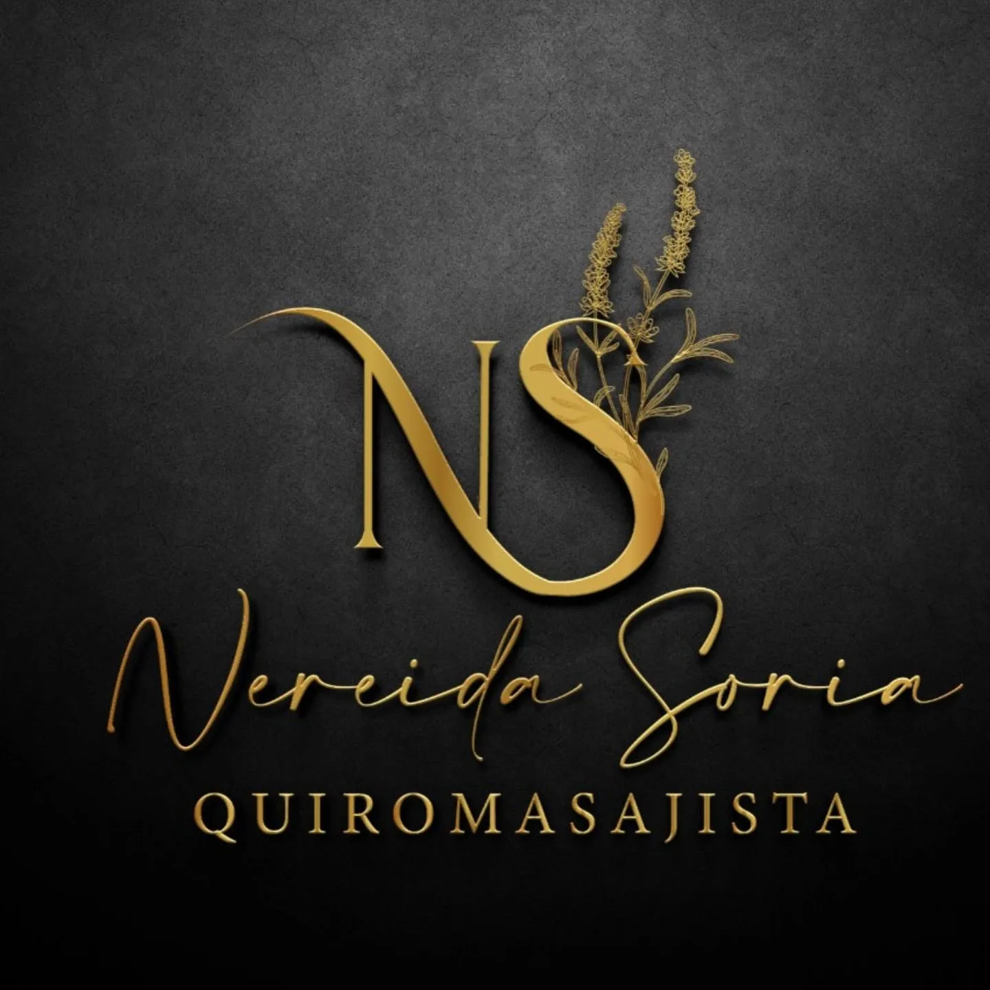 Logotipo de Nereida Soria, Quiromasajista